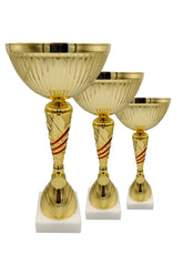 CTS 263 | SET de 3 Cupe Sportive - TrophyShop
